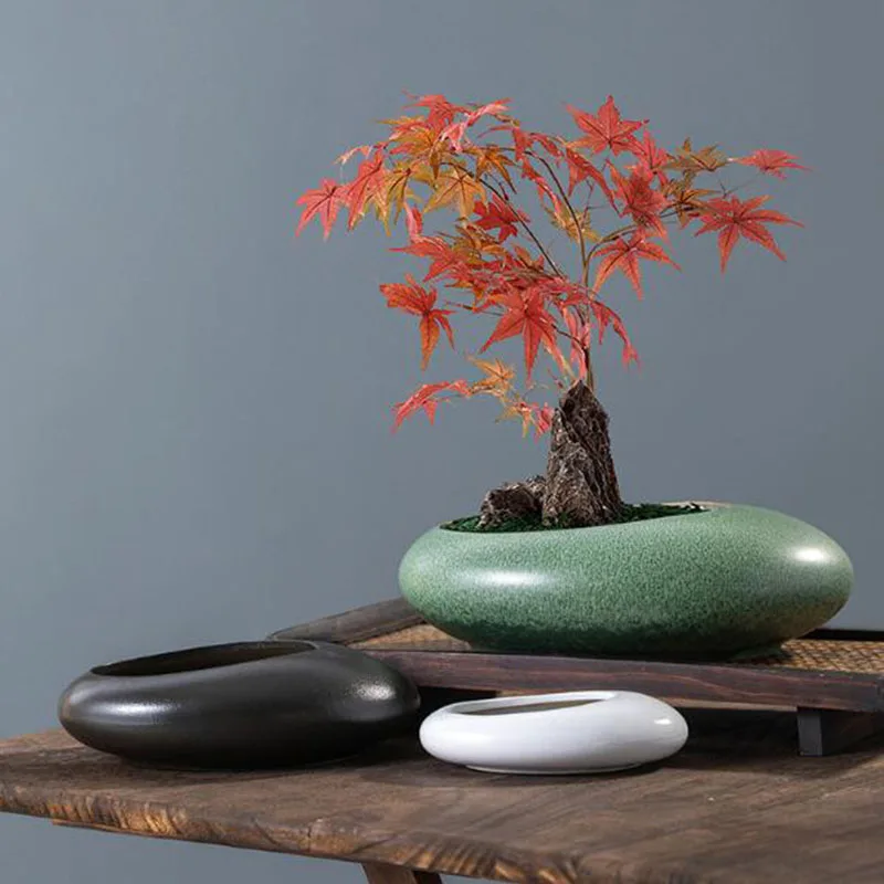 مزهرية فخارية خشنة للبونساي، و - مراجعة Bonsai Garden Art وسعره